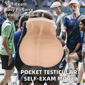 YUYUE Minyatür Cep Testisli Manken Modeli Erkek Öz Muayene Tıbbi Öğretim XX-DF52 - Product Image 3