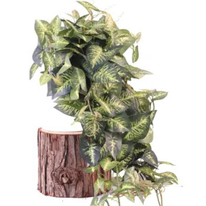 Indoor Ornamental Plants Make Artificial Plants Artificial Syngonium Podophyllum