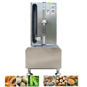 Machine à peler les fruits et légumes au prix d'usine, machine à peler les fruits pour papaye, ananas, citrouille, pomme - Product Image 5