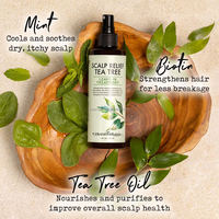 Spray revitalisant sans rinçage à l'arbre à thé pour cheveux secs, antipelliculaire, anti-démangeaisons, hydratant, démêlant et nourrissant – Marque privée