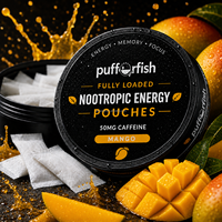 Usine OEM Personnalisée en Stock Zxn Velo Energy Snus Cans Fox Sachets de Snus aux Saveurs Variées Plastique & Métal