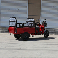 Tricycle Électrique 650W à Grande Autonomie pour la Famille et la Livraison – Vélo Électrique à 3 Roues – Offre Spéciale