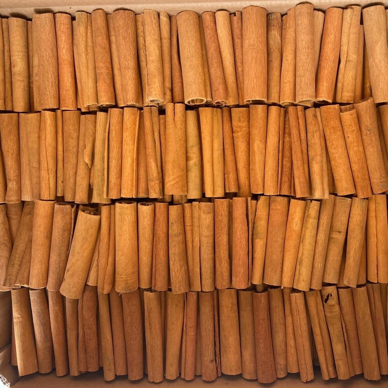 cinnamon stick cassia stick oil