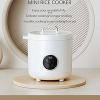Portable 2L Ménage Électrique Cuiseur À Riz Mini Plastique Automatique avec Boîtier En Aluminium Fonctions Intelligentes pour Cuisine Voiture Hôtels