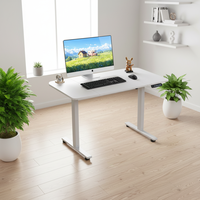 Meubles de bureau, bureau d'ordinateur multifonctionnel, table de travail réglable en hauteur, bureau réglable en hauteur, cadre de table relevable