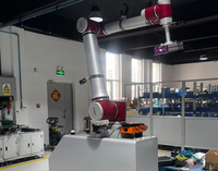 Système de palettisation automatique à robot cartésien sur portique fixe en aluminium, pour l'empilage de cartons et de sacs, palettiseur de fin de ligne