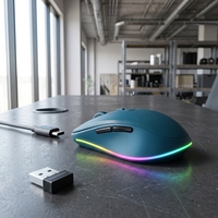 Souris de jeu sans fil haute performance, ergonomique, rétroéclairée RGB, pour ordinateur portable, vente en gros, pas cher, 16000 DPI, souris filaire, souris de jeu