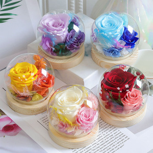 Cadeaux en gros que les jeunes adorent : Rose véritable préservée sous cloche en verre avec base en bois pour la décoration intérieure - Product Image 4