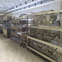 Cage pour animaux de laboratoire Cage pour élevage de lapins en acier inoxydable sec
