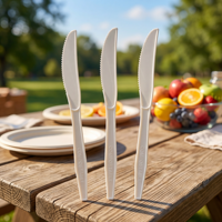 Couverts jetables Greenday résistants à la chaleur, écologiques et compostables en PLA, série Premium, cuillère, couteau, fourchette en CPLA pour pique-nique et fête
