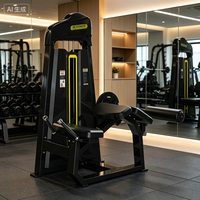 Gran oferta, equipo de Fitness para gimnasio comercial, placa de acero cargada, máquina de remo de fila sentada para entrenamiento de fuerza, Mini cargador