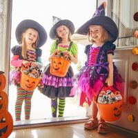 Bolsas de Organza Transparentes con Diseño de Telaraña y Calavera para Regalos de Halloween, Dulces, Joyería y Recuerdos de Fiesta