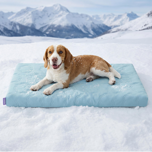 Grand lit rafraîchissant pour <span class=keywords><strong>chien</strong></span> Q-Max avec tapis rafraîchissant, housse amovible et lavable, mousse orthopédique respirante en forme de nid d'abeille, coussin d'été antidérapant - Product Image 1