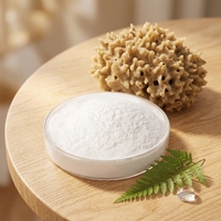 Extrait végétal pur à 99 % et poudre de spicules d'éponge marine 1 kg MOQ pour formules cosmétiques professionnelles d'élimination de l'acné