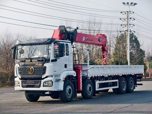 Grúa Montada en Camión Shacman 8x4 para Transporte de Materiales de Construcción, Grúa Montada en Vehículo de 14T - Product Image 5