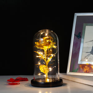 Flor Eterna con Cubierta de Cristal, Rosa con Lámina Dorada, Regalo para el Día de la Madre, San Valentín, Navidad, Decoración Creativa - Product Image 1