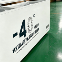 Congélateur vertical commercial à bas prix avec porte à ouverture supérieure, commande mécanique, équipement de réfrigération pour supermarchés