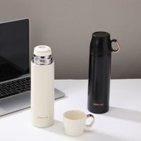 Gourde isotherme compacte et portable en acier inoxydable 304 pour l'extérieur, avec couvercle, tasse à thé, bouilloire portable