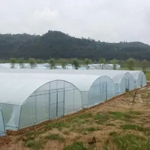 Offre Spéciale serre commerciale agricole à travée unique en Amérique