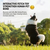 Jouet à mâcher pour chien, best-seller, écologique, en TPR, résistant aux morsures, anti-ingestion, couineur, pour le nettoyage des dents, pour tous les chiens