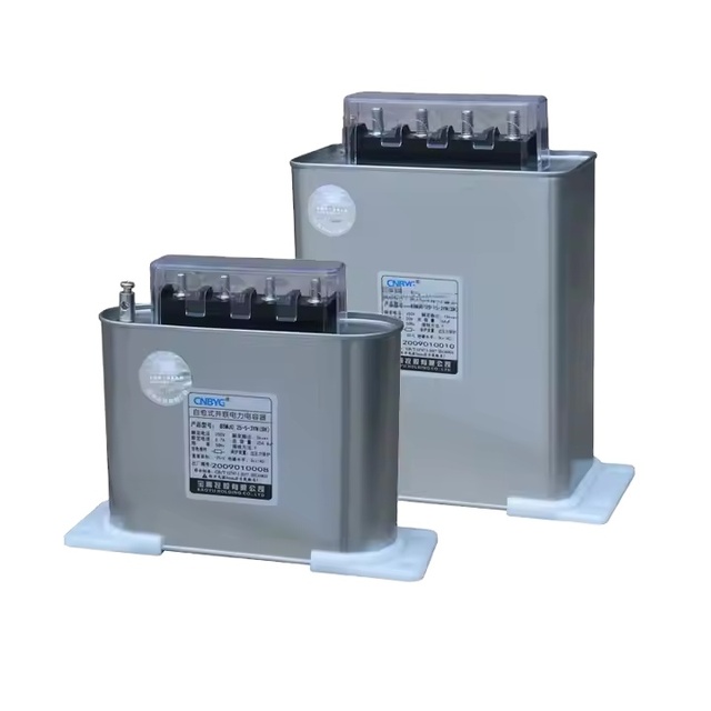 BSMJ0.45-25-3 Self-Healing MV&HV Capacitor 25kvar High Efficiency Low-Voltage Parallel Split-Phase Reactive Power Compensation