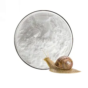 批发散装护肤蜗牛粘蛋白提取物35% 65% 蜗牛提取物粉