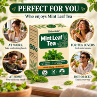 Teh Daun Peppermint Murni Langsung dari Pabrik, 90g 30 Sachet, Penunjang Pencernaan, Pereda Kembung, Teh Herbal Grosir