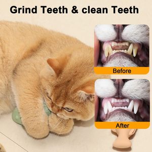 Nuovi Arrivi: Giocattolo in Silicone a Forma di Pesce per Gatti e Cani, Snack per Animali Domestici, Giocattoli alla Menta, Bastoncino in Gomma <span class=keywords><strong>Happy</strong></span> Bite per Gatti - Product Image 3