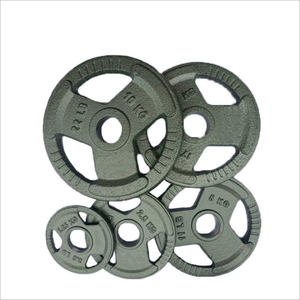 Cfty 2 PU Poids Olympique Plaques Barbell