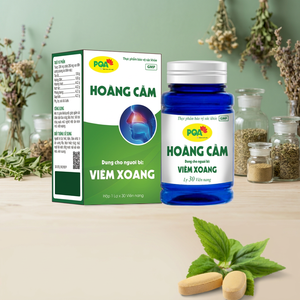Cápsulas de Scutellaria Baicalensis de Alta Calidad Hechas en Vietnam, Refuerzo Inmunológico para el Asma y el Dolor de Cabeza, Salud para Mujeres Embarazadas - Product Image 2