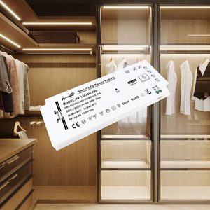 Controlador de Gabinete PFC de 36W 60W 100W, Controlador de Tira LED de Voltaje Constante 100-240V/200-240V AC-DC 12V 24V, Fuente de Alimentación LED Interior IP20 - Product Image 1