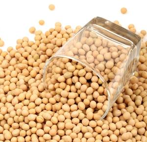 Bubuk ekstrak Protein peptida kedelai Phytoestrogen bubuk <span class=keywords><strong>Isoflavone</strong></span> kedelai larut air - Product Image 5