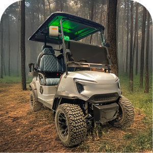 72V Hot-vente personnalisable 4 sièges 4x4 chassent les chariots électriques de voiture de golf - Product Image 4