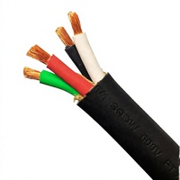 Câble d'alimentation flexible en PVC RVV à conducteurs en cuivre multiconducteurs 0,5-50 mm, indice de protection IP65, 300/500V pour applications de chauffage et automobiles