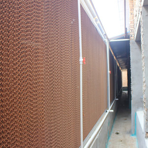 Cage de poulailler pour poussins d'un jour et poulettes en poulailler, pour ferme avicole, à <span class=keywords><strong>vendre</strong></span> - Product Image 5
