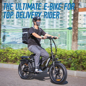 Vélo électrique Chamrider DTS425 à pneus larges, haute puissance, batterie au lithium, vélo de livraison, siège électrique réglable pour adultes et adolescents - Product Image 6