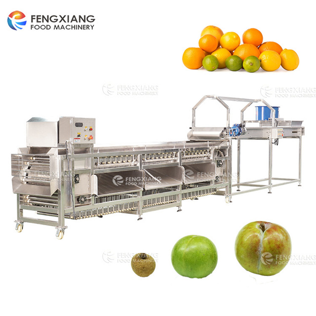 Fengxiang Vegetable Fruit Sorting Machine Avocado Orange Potato Onion Apple Tomato Dates Grading Machine