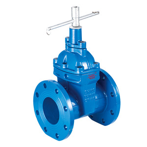 Guangdong Magnesium Special Gate Valve Flange Soft Seal Rubber Lining Single Gate Water Low Temperature Type - Product Image 2