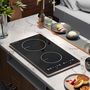 रसोई उपकरण में पूर्ण स्पर्श या नॉब्स नियंत्रण के साथ 2 हीट-एरिया टेम्पर्ड ग्लास पैनल के साथ बिलिड-इन सिरेमिक होब - Product Image 6