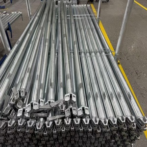 Compatible con las principales marcas europeas, sistema <span class=keywords><strong>de</strong></span> <span class=keywords><strong>andamios</strong></span> HDG Ringlock para empresas <span class=keywords><strong>de</strong></span> <span class=keywords><strong>alquiler</strong></span> y construcción - Product Image 4