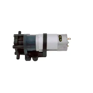 Bơm Bánh Răng Mini Chổi Than 2.4 L/M, Chạy Điện 12V Hoặc 24V Dc