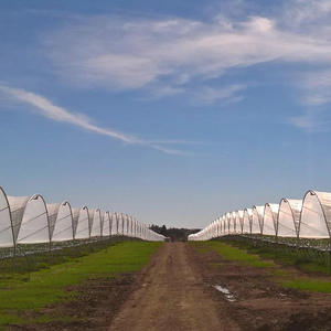In Inflatable Blueberry <strong>Greenhouse</strong> with <strong>Etfe</strong> <strong>Greenhouse</strong> Film - Product Image 6