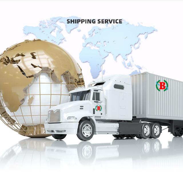 DDP грузовые перевозки, морские воздушные перевозки, DHL, Международная Экспресс-экспедирование, Бесплатная Прямая доставка для грузового контейнерного контейнера