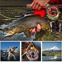 Ligne de pêche à la mouche tressée en Dacron à 8 brins, 5 couleurs, 100 m, 20 lb, 30 lb, à pois, vente chaude