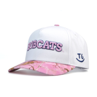 Casquette de baseball bicolore avec logo personnalisé imprimé sur le bord, casquette de baseball brodée 3D personnalisée, casquette de baseball à 5 panneaux, casquettes de sport
