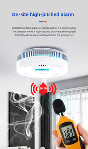 Détecteur <span class=keywords><strong>de</strong></span> fumée et <span class=keywords><strong>de</strong></span> monoxyde <span class=keywords><strong>de</strong></span> carbone PGST avec batterie <span class=keywords><strong>de</strong></span> 10 ans, 2 en 1, avec bouton <span class=keywords><strong>de</strong></span> test et affichage numérique - Product Image 6