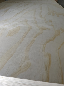 CDX <span class=keywords><strong>radiata</strong></span> thông blockboards BB/CC ván ép với lõi cây dương rắn E1 formaldehyde tiêu chuẩn khí thải gỗ nguyên liệu thông lớp - Product Image 4