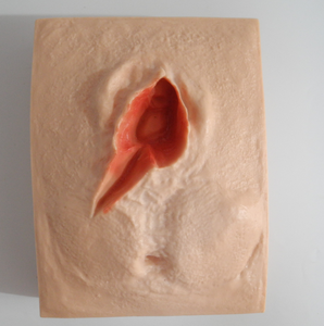 Акушерство и гинекология медицинская научная модель симулятор шва вульвы - Product Image 2