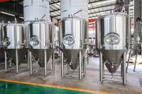 Fermenteur conique de 100 l utilisé pour la brasserie artisanale à domicile