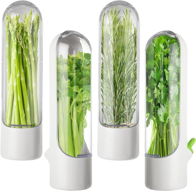 ABS Herb Keeper for Refrigerator, Fresh Herb Storage Container with Transparent Cover for Parsley Cilantro and Green Onions